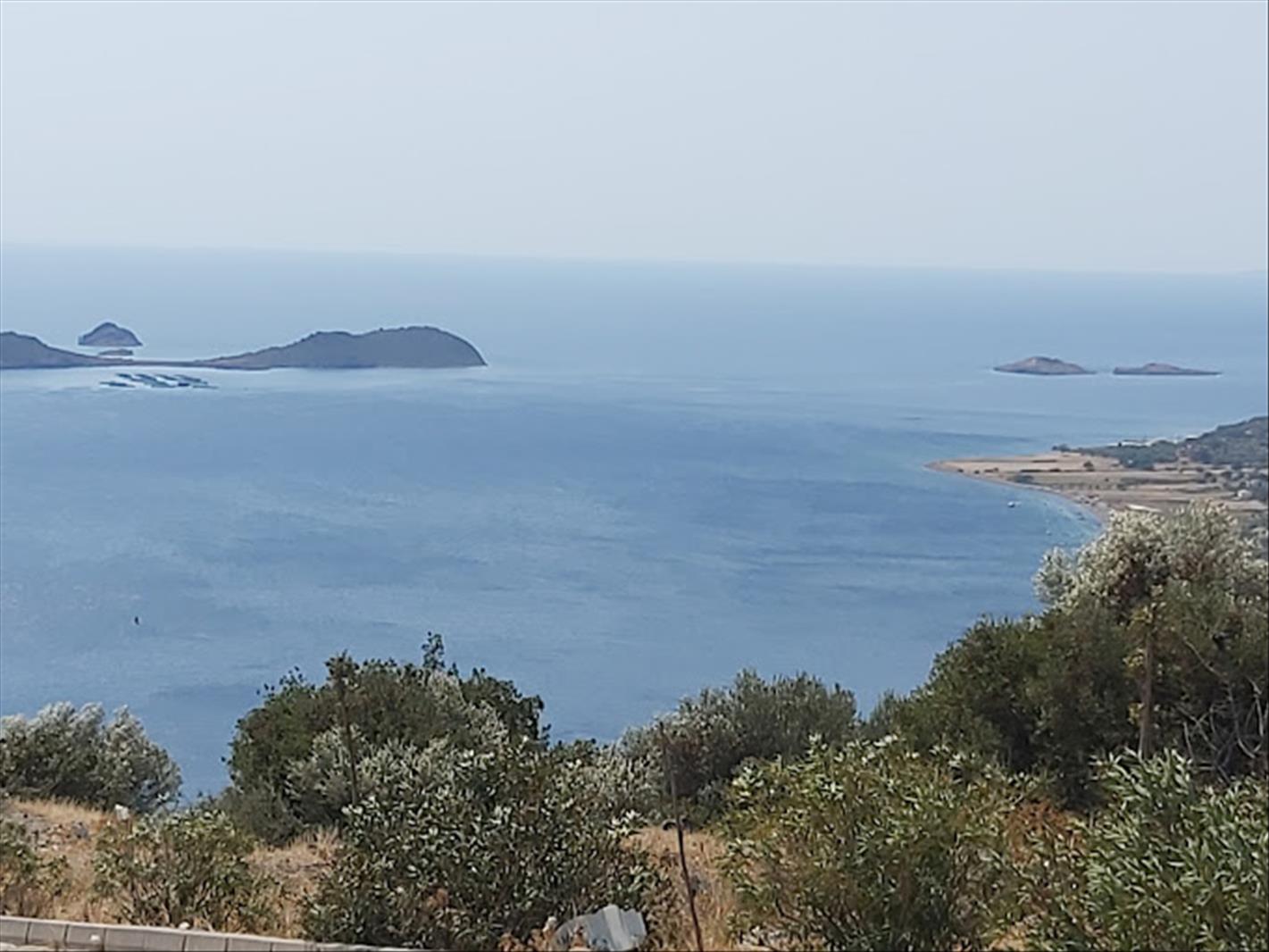 Skyline Dijital Medya